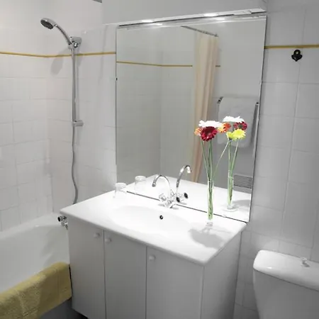 Guerlin Saint Aubin Apartahotel Toulouse